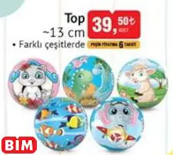 TOP ~13 CM